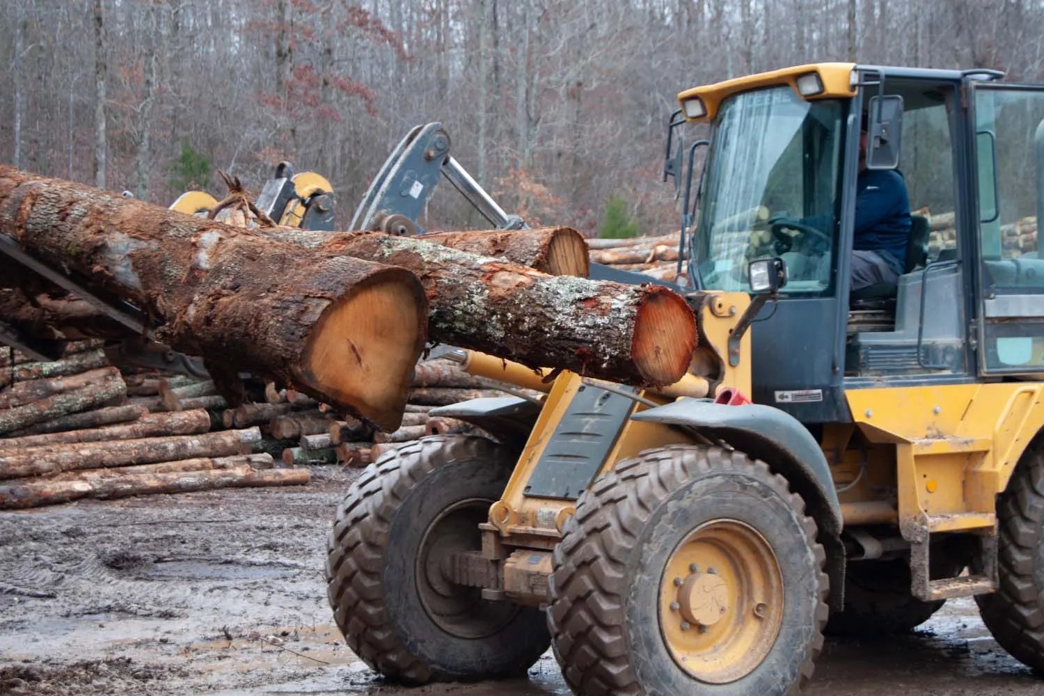 Kiln-Dried Firewood Delivery Options